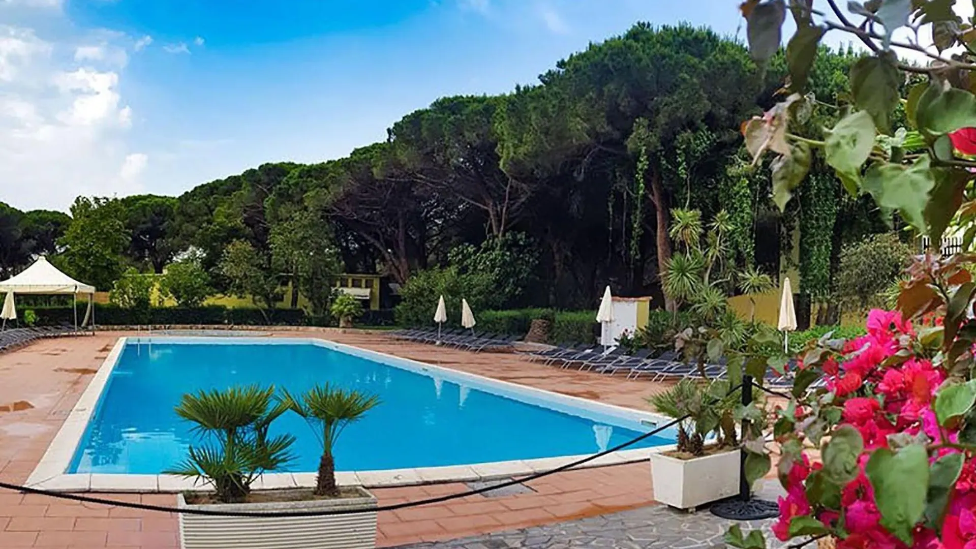 Villa Immersed In The Pine Forest In Sardinia Arborea Italie
