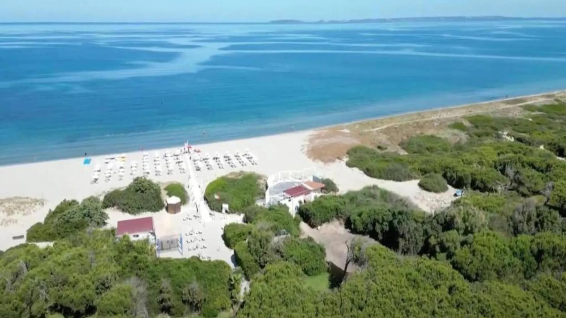 Villa Immersed In The Pine Forest In Sardinia アルボレーア イタリア
