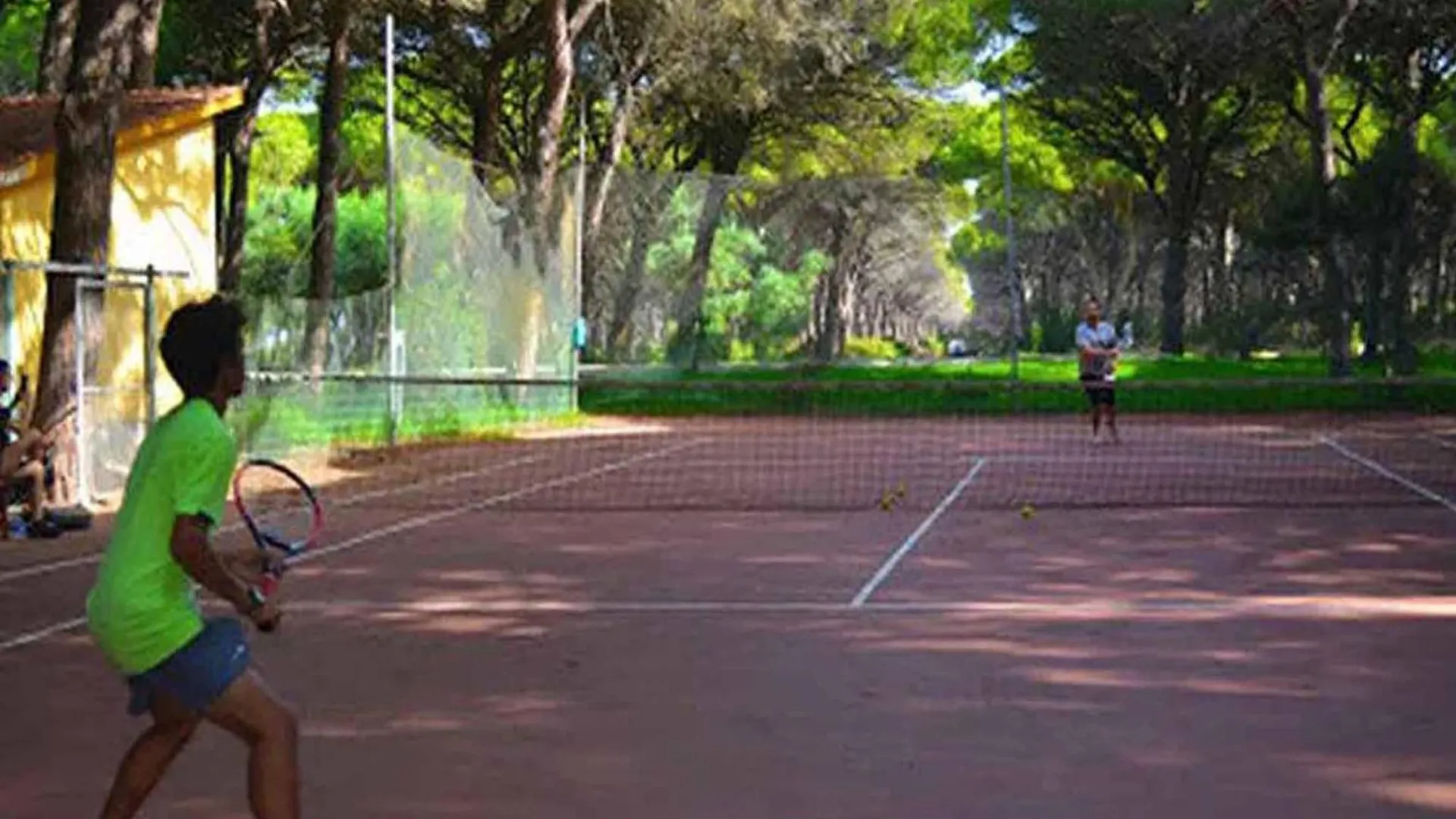 Villa Immersed In The Pine Forest In Sardinia アルボレーア 0*,  イタリア