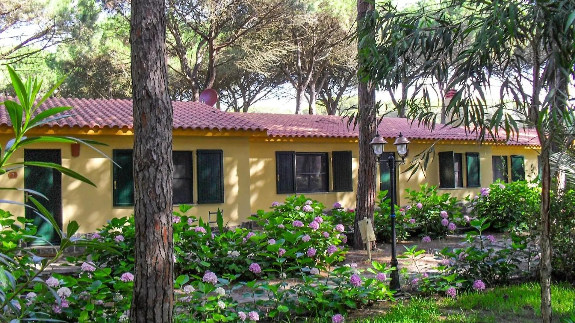 Villa Immersed In The Pine Forest In Sardinia Arborea